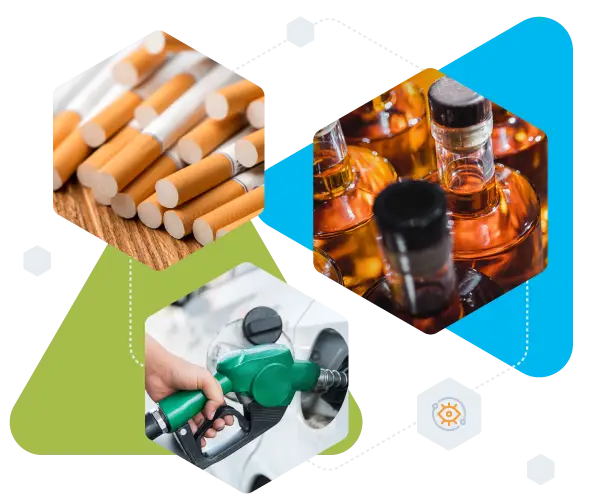 Domov 5 EMCS Sledite premikom trosarinskega blaga bizBox eCustoms